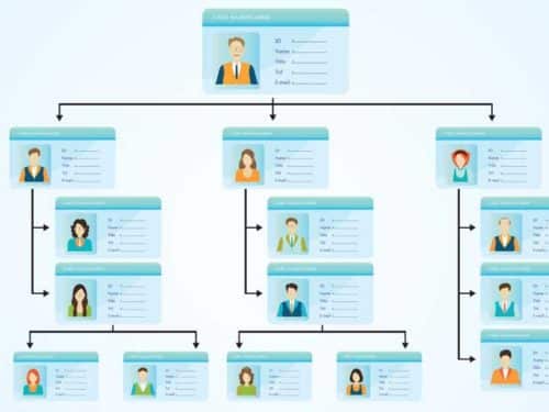 Organograma: entenda a importância para a empresa