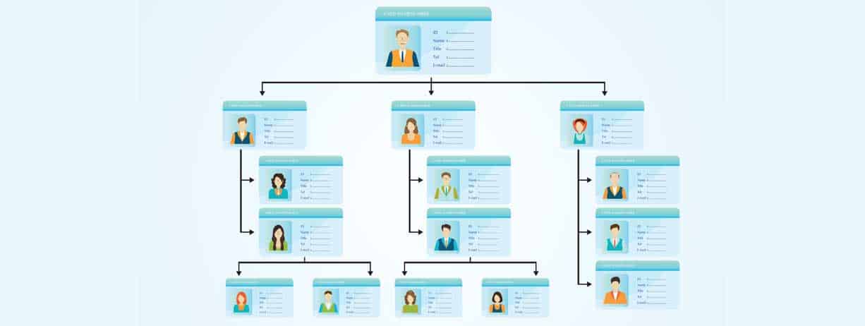 Organograma: entenda a importância para a empresa