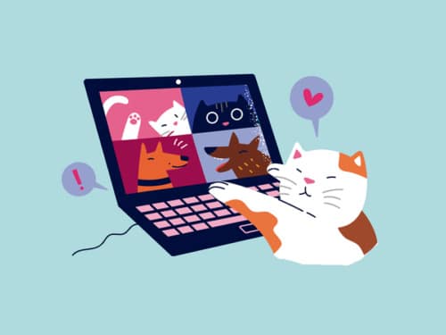 Que animal você é? Conheça a personalidade dos animais