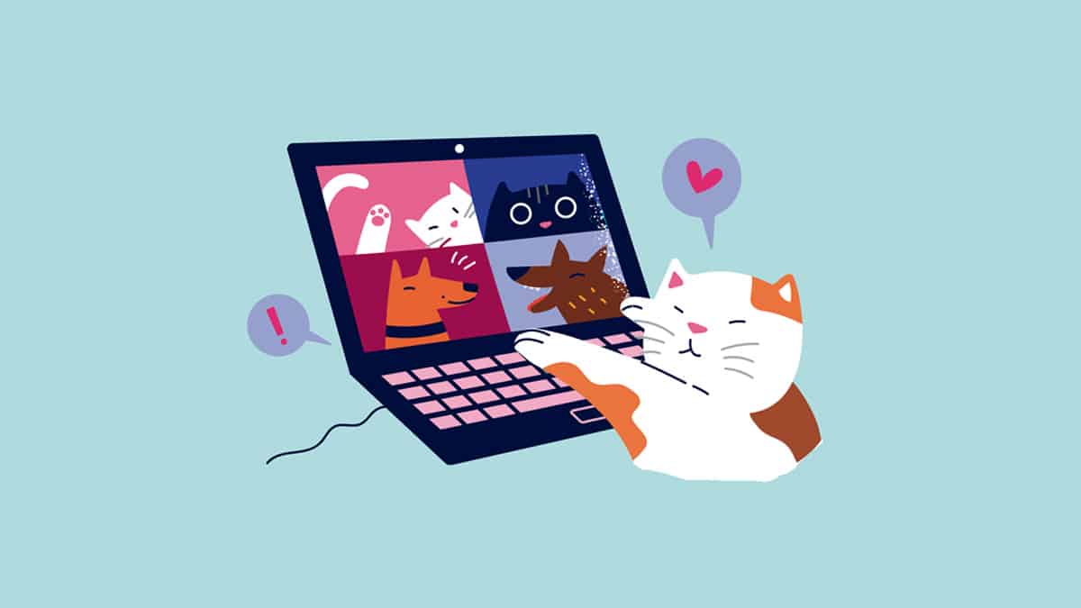 Que animal você é? Conheça a personalidade dos animais