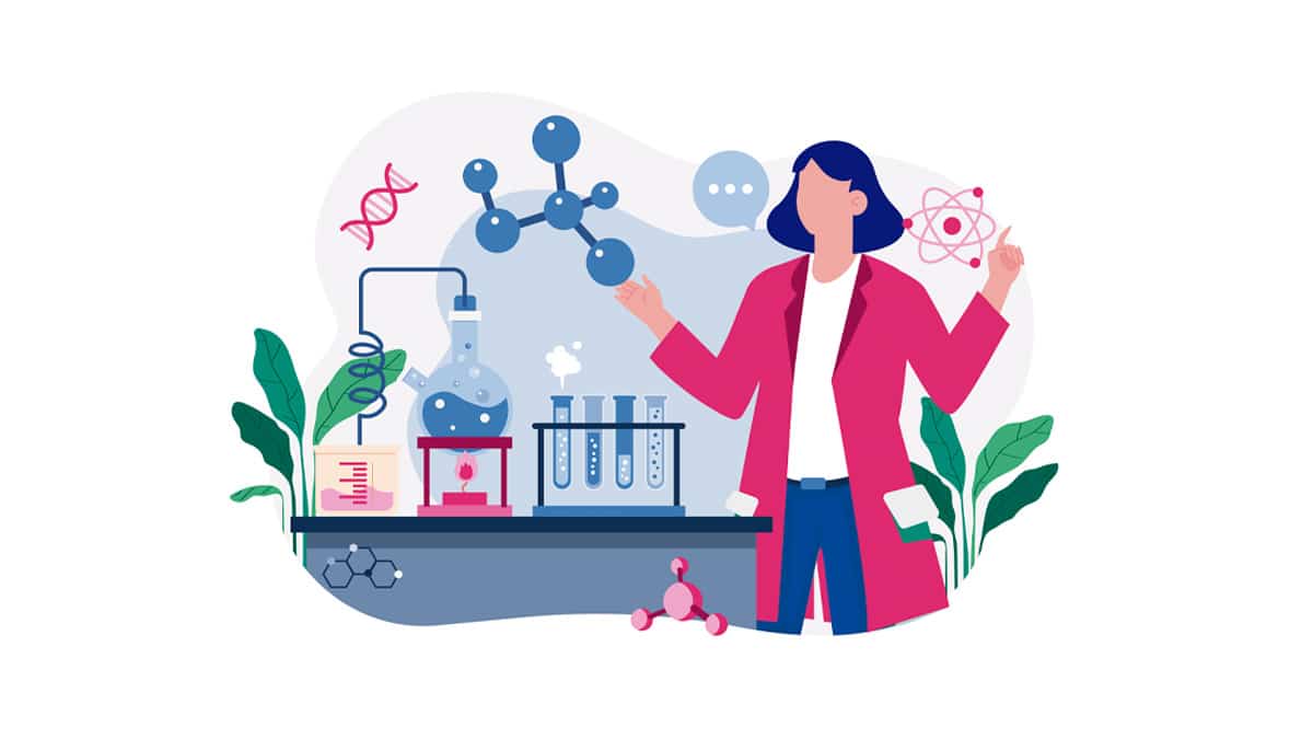 Modelo de Currículo para a área de Química
